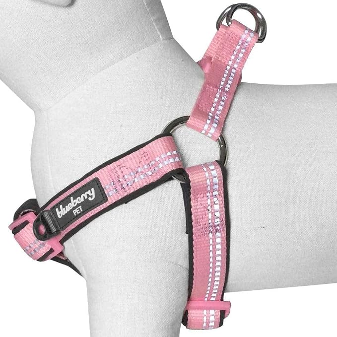 Blueberry Pet Soft & Comfy 3M Reflective Step-in Pastel Color Padded Dog Harness, Chest Girth 19.5" - 25.5", Baby Pink, Medium, Adjustable Harnesses for Dogs