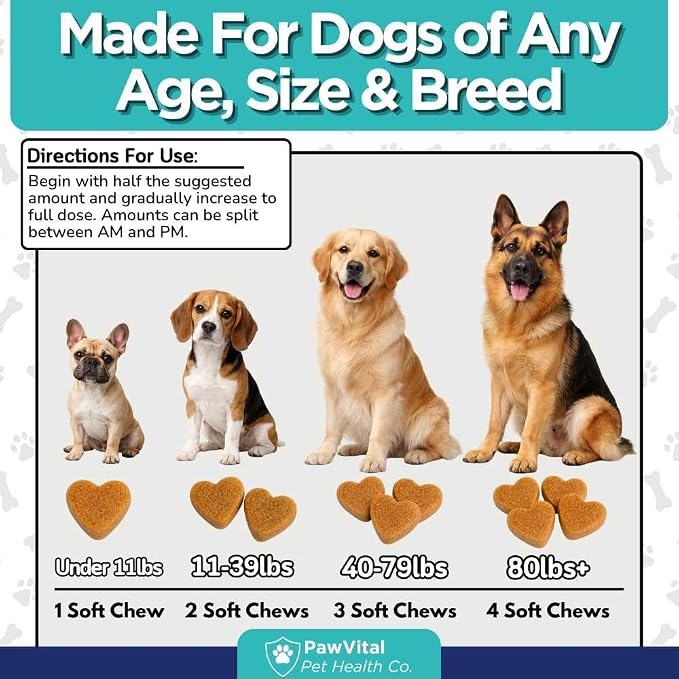 Dog Prenatal Vitamins for Pregnant & Nursing Dogs – 120 Soft Chews with Folic Acid, DHA, Choline, Iron & Calcium – Prenatal Multivitamin Supplement for Puppy Development, Pregnancy & Lactation Support