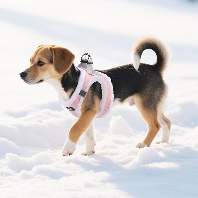 PUPTECK Plush Dog Harness and Leash Set for Small Medium Dogs No Pull Step-in Soft Mesh Puppy Cat Winter Vest Harnesses Reflective at Night Warm, Plush Pink, XS