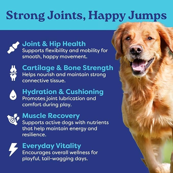 Hip & Joint Dog Food Topper – Beef Bone Broth Collagen Powder for Dogs – Mobility & Joint Support with Glucosamine – Skin & Coat Health – 60 Servings | Fountain of Woof