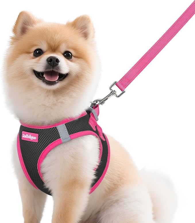 rabbitgoo Dog Harness Small Sized and Leash Set, Step in Soft Vest | Breathable Mesh, Easy Wear with Hook & Loop, Light and Reflective for Walking, Multi-colored, Black & Rose Red, M