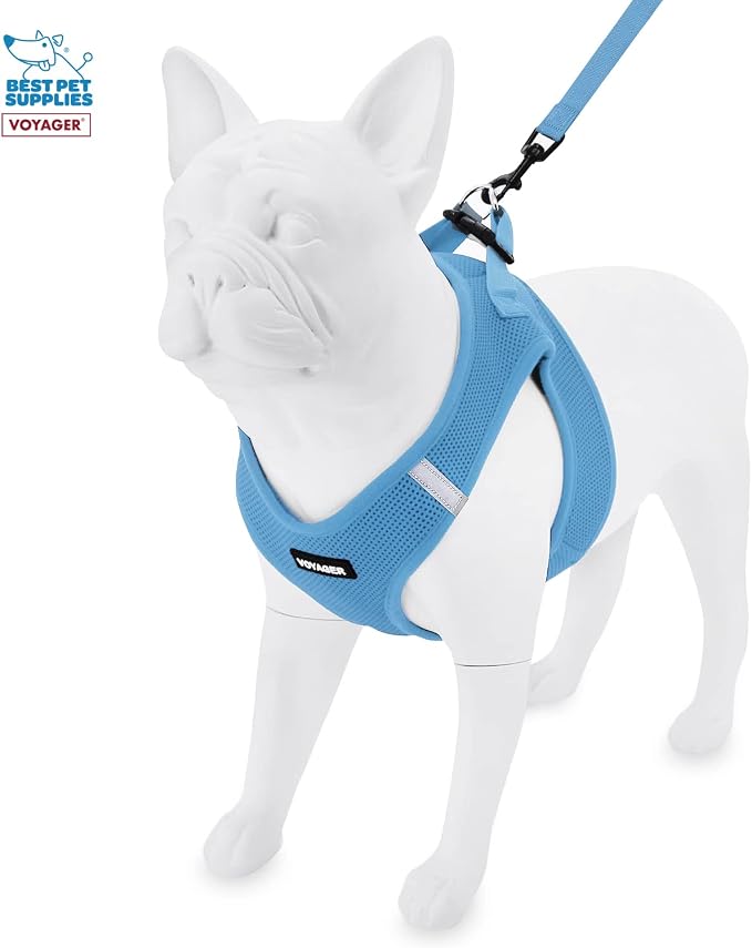 Voyager Step-in Air All Weather Mesh Harness and Reflective Dog 5 ft Leash Combo with Neoprene Handle, for Small, Medium and Large Breed Puppies by Best Pet Supplies - Blue, Medium