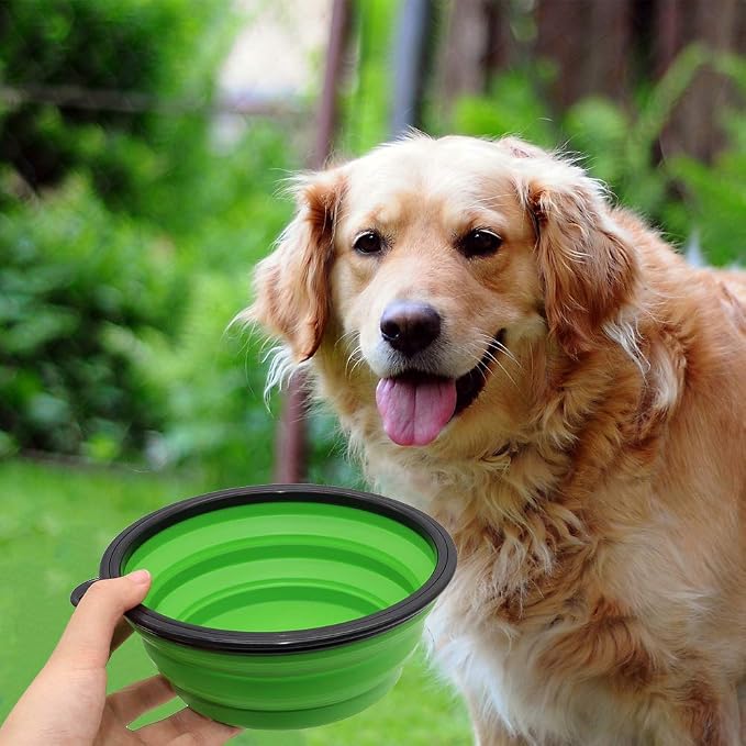 Dog Bowl Collapsible, 2 Pack, with Carabiners, Large, Green+Purple