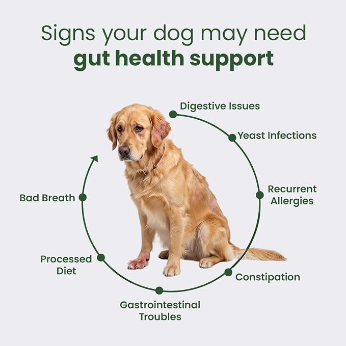 GastroQuel Dog Probiotic Chews – Gut Health, Occasional Diarrhea & Digestive Support | Probiotics for Dogs, Kaolin & Pectin | Yeast Infection Support & Anti Diarrhea for Dogs | Pack of 3