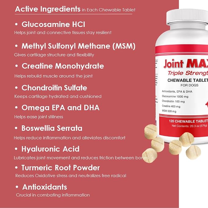 Double Strength - Vitamins, Minerals, Antioxidants - Maximum Joint Health Supplement for Dogs - 120 Chewable Tablets