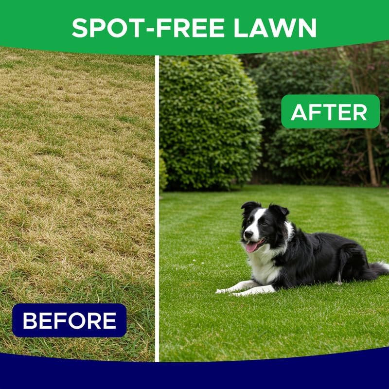 Green Grass Dog Chews for Lawn Protection – Dog Urine Neutralizer for Grass Burn Spots – Lawn Restore Treats – Made in USA – 120Ct Soft Chews