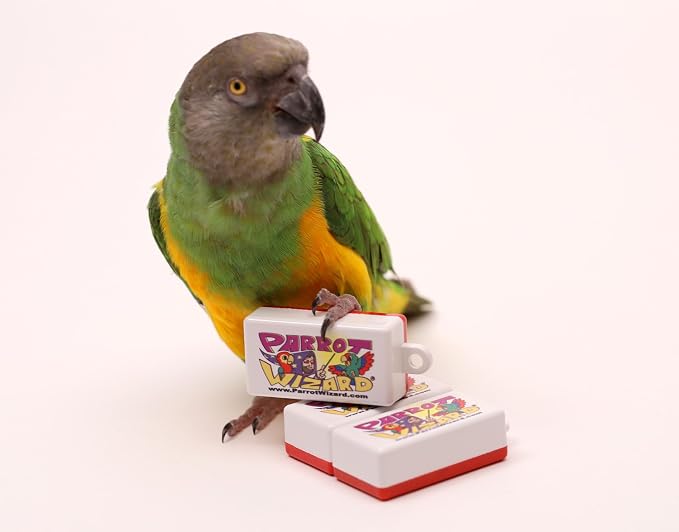Clicker for Parrot Trick Training, Set of 3