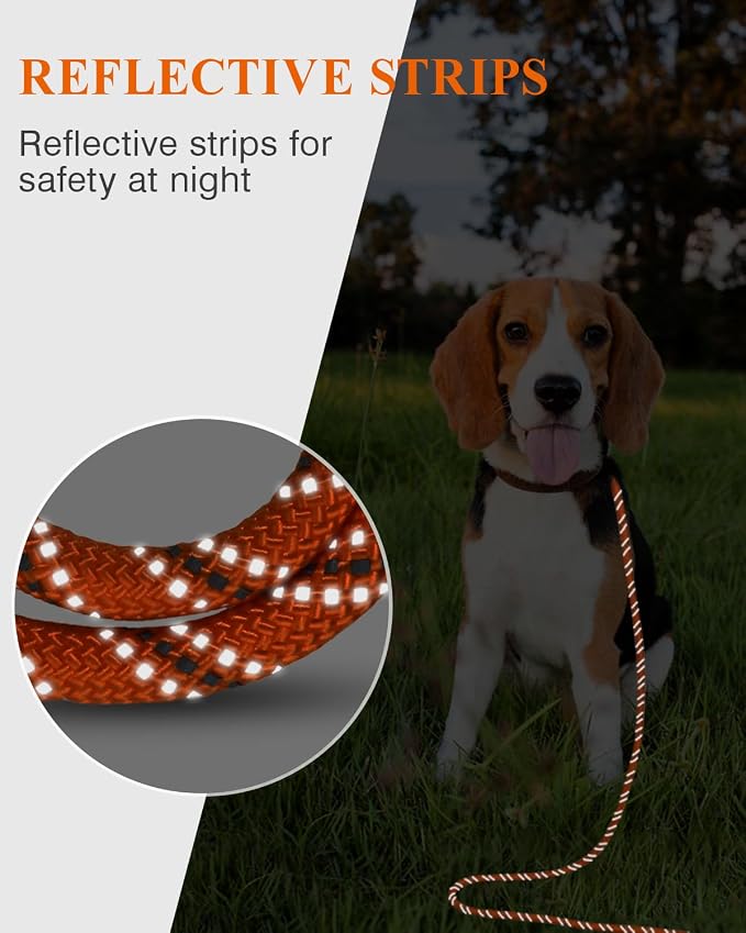 Taglory Long Dog Leash, 15FT 30FT 50FT 66FT Reflective Dog Training Leash with Soft Padded Handle for Large Medium Small Dogs Walking, Obedience, Orange 15FT