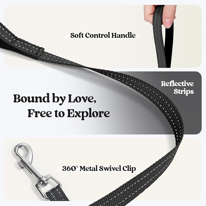 rabbitgoo Dog Harness Small Sized and Leash Set, Step-in Puppy Pet Vest | Light, Soft, Breathable Air Mesh, Easy on and Remove with Hook & Loop, Secure Reflective for Walking, Black Zigzag XXS