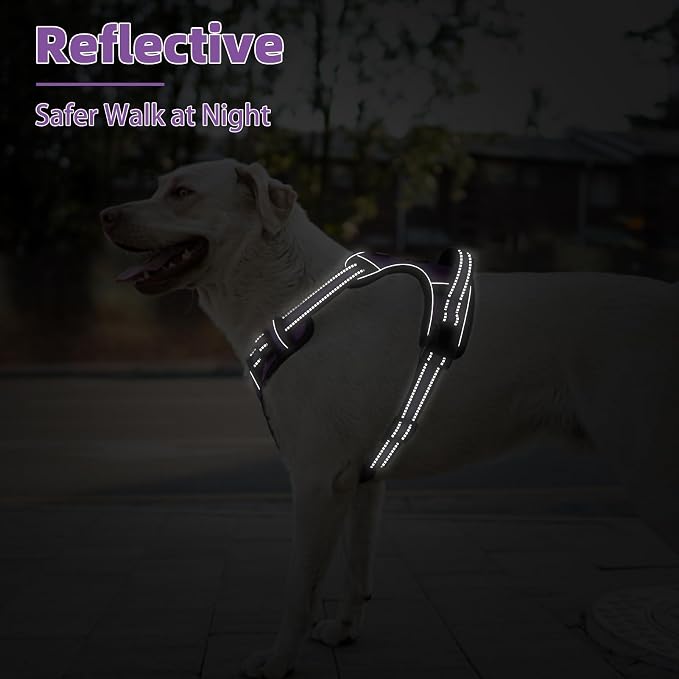 PUPTECK No Pull Dog Harness for Large, Adjustable Reflective Dog Harness with Handle Easy Control, Comfortable Soft Padded Pet Vest Harness for Large Dogs, Solid Purple L