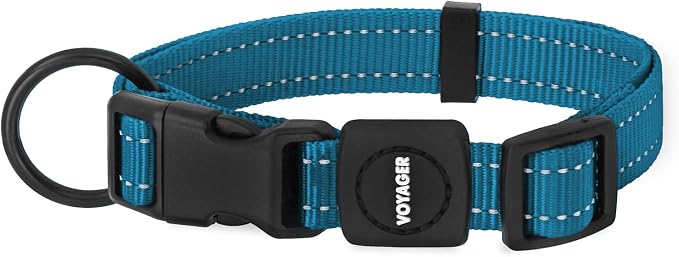 Best Pet Supplies Voyager Reflective Dog Leash or Collar with Neoprene Handle, for Small, Medium, and Large Breed Puppies, Cute and Heavy Duty for Walking, Running and Training - Turquoise, M
