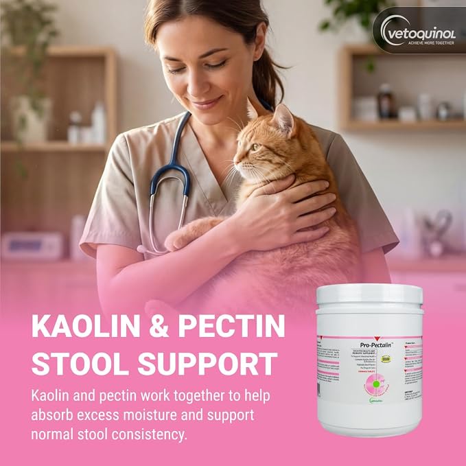 Vetoquinol Pro-Pectalin - Supports Digestive System & Stool Firmness for Dogs & Cats - Chewable Probiotic Supplement for Intestinal Support - For All Breeds - 250 Count