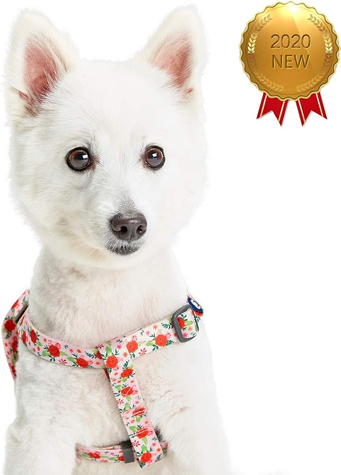 Blueberry Pet Essentials Step-in Spring Scent Inspired Garden Floral Dog Harness in Baby Pink, Chest Girth 26" - 39", Large, Adjustable Harnesses for Dogs