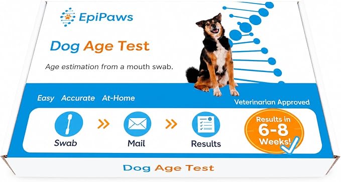 Dog Age Test