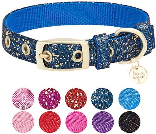 Blueberry Pet Gold Stamping Lace Adjustable Dog Collar in Classy Navy, Neck 9-12.5", for Small Breed