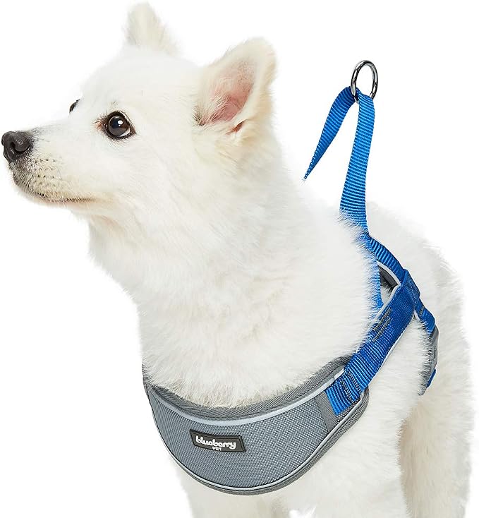 Blueberry Pet Dog Harness Medium Sized Dog - Reflective Dog Vest with 3M Strips, Neoprene Padded, Easy Control for Large Dogs, Small Dog Harness, Adjustable Navy Training Vest, 20.5-26" Girth