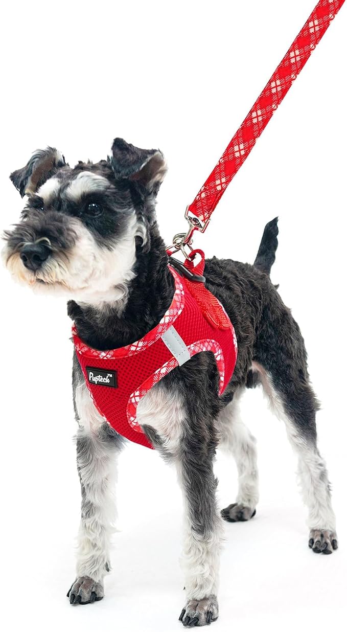 PUPTECK Dog Harness and Leash Set for Small Medium Dogs No Pull Step-in Soft Mesh Puppy Cat Vest Harnesses Reflective at Night, Red, XS
