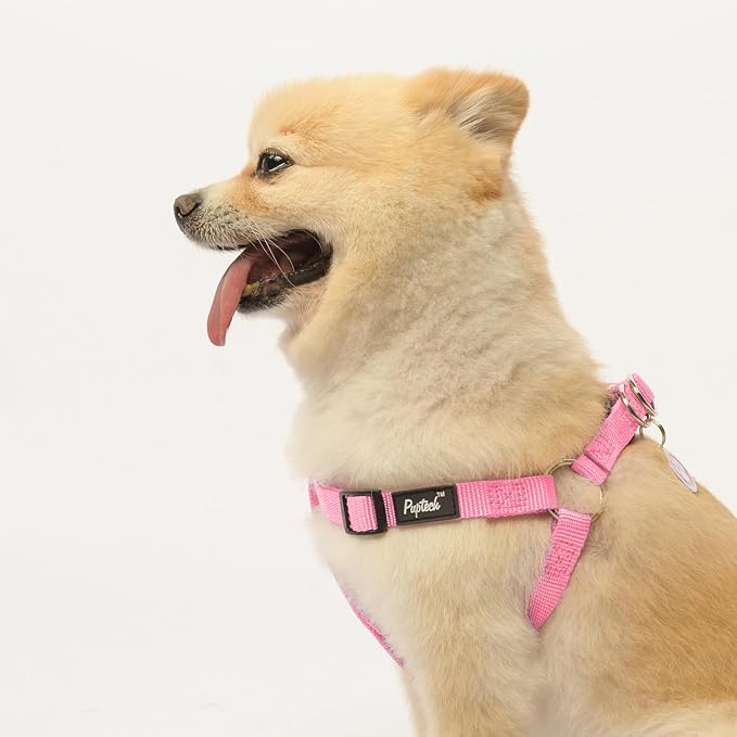 PUPTECK No Pull Dog Harness Small Sized Step-in Adjustable Puppy Vest | Soft Webbing Basic Halter with ID Tag for Outdoor Walking
