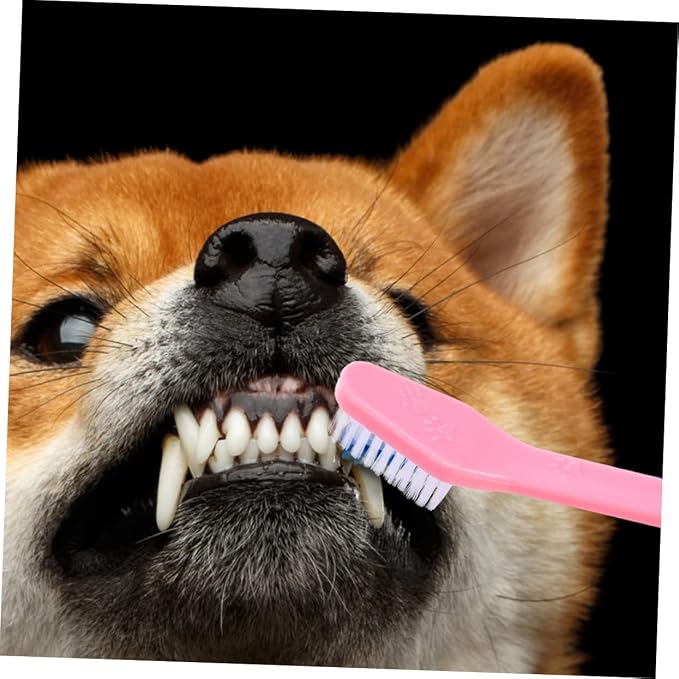 POPETPOP 12Pcs Dual Head Pet Toothbrush Handheld Dog Oral Cleaning Brushes with Soft Bristles for Gentle Care Non Slip Handle for Comfortable Use for Daily Pet