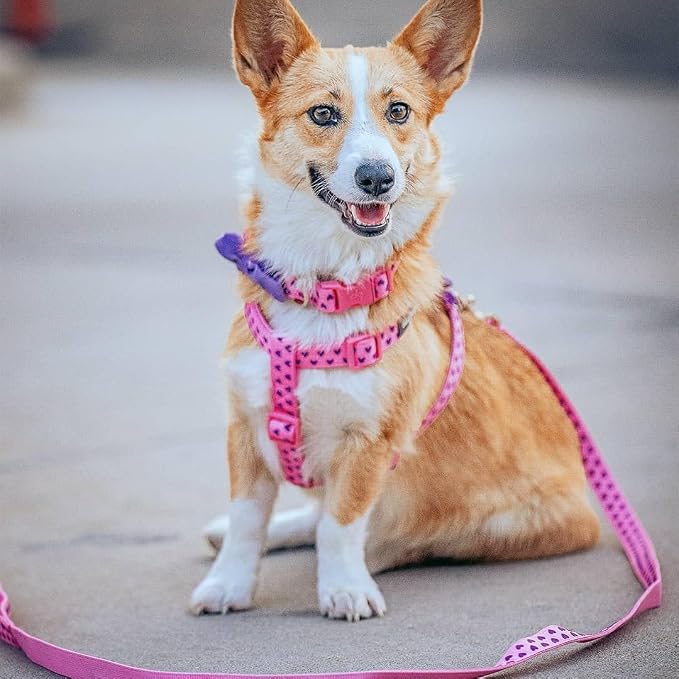 Blueberry Pet Valentine's Day Dog Leash, Velvety Soft-Touch Heart Flocking