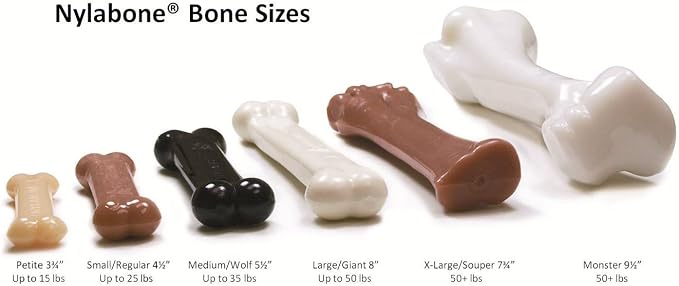 Nylabone (5 Pack) Dura Chew Regular Original Flavored Bone Dog Chew Toys
