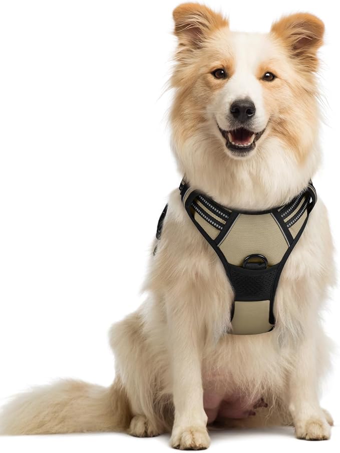 rabbitgoo Dog Harness, No Pull Medium Sized with 2 Leash Clips, Pet Vest | No Choke with Handle, Adjustable Soft Padded, Reflective, Easy Control for Walking, Beige, Medium