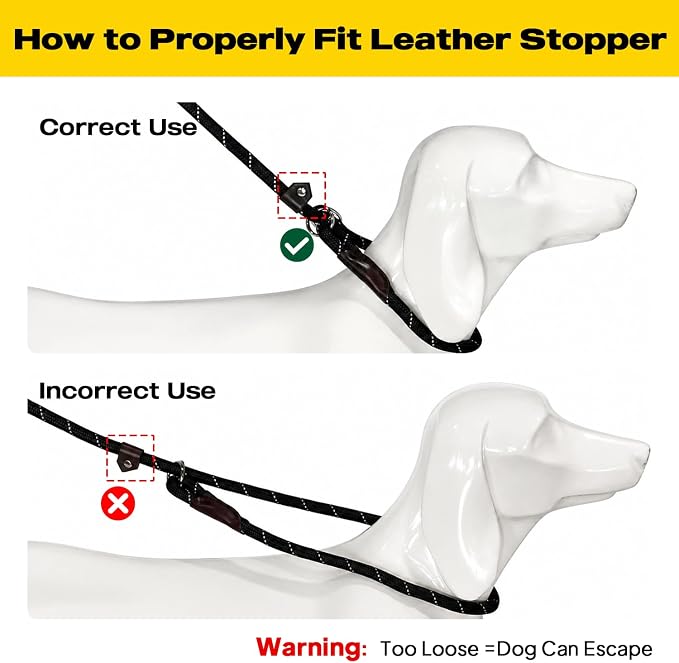 Fida Durable Slip Lead Dog Leash, 6 FT x 3/8" Heavy Duty Comfortable Strong Rope Slip Lead for Small Dogs and Puppies, No Pull Pet Training Lead with Highly Reflective(3/8", Black)