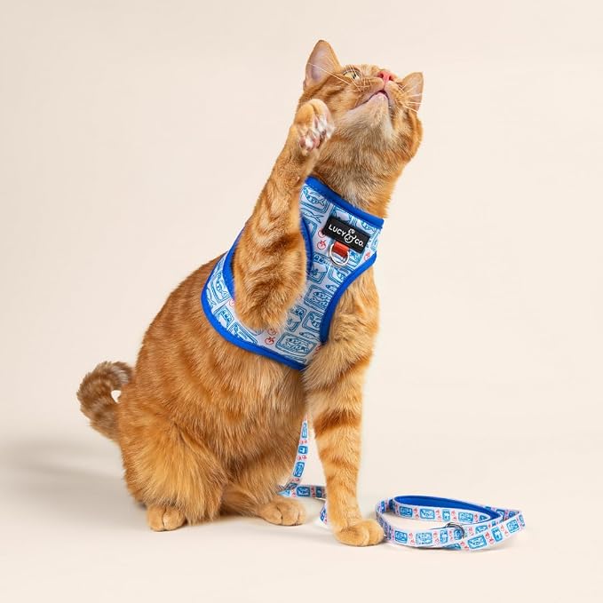 Lucy & Co. Tinned Fish Step-in Cat Harness & Leash Bundle – Reflective, Breathable & Adjustable Harness for Cats, Kittens & Small Dogs, Lightweight & Secure and Dual Leash Clips – Medium