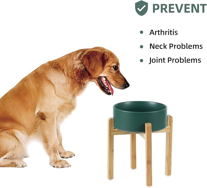 Havniva 8.3” Dog Bowls Elevated Ceramic Dog Food and Water Bowl, Raised Dog Water Bowl with Stand Non-Slip Rubber Base Large Capacity Feeding Pet Food Bowl for Large Dogs