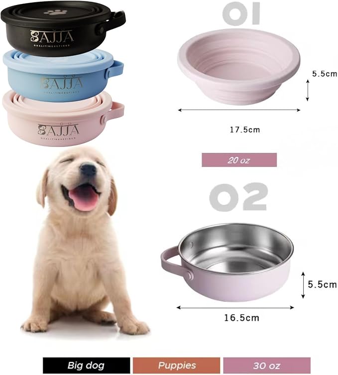 Blue Slow Feeder Travel Dog Bowl Set, 30oz Steel + 20oz Silicone