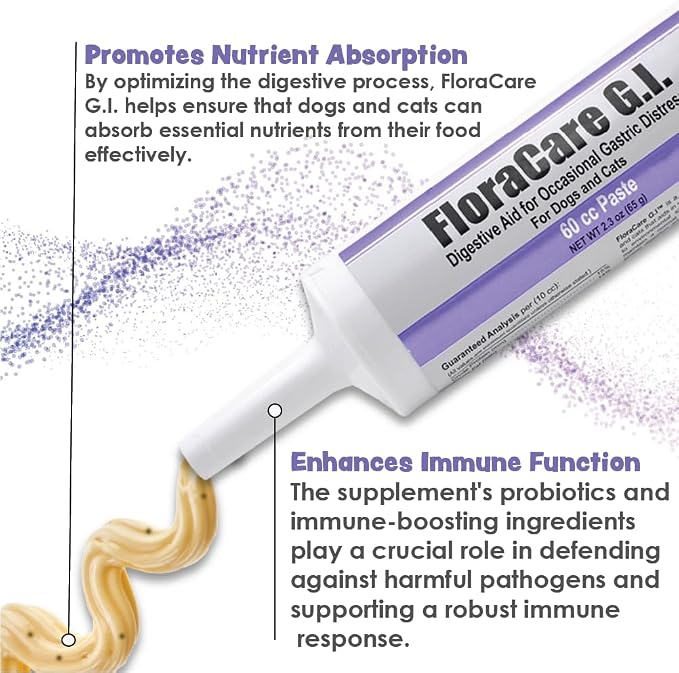 FloraCare GI Digestive Paste for Dogs & Cats – Helps Diarrhea, Upset Stomach & Occasional Gastric Distress – Gut Health Support with Easy Oral Syringe – Veterinarian Recommended Digestive Aid – 60cc
