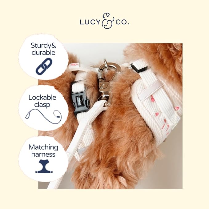 Lucy & Co. Ivory Corduroy Dog Leash, Durable Dog Lead with Heavy Duty Hardware, Small
