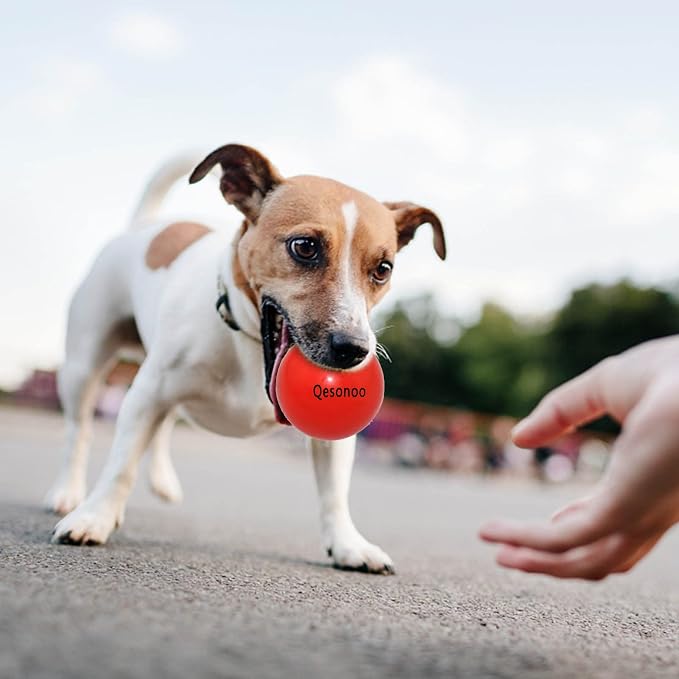 Dog Balls Indestructible, Solid Rubber Bouncy, Large Breed, Red