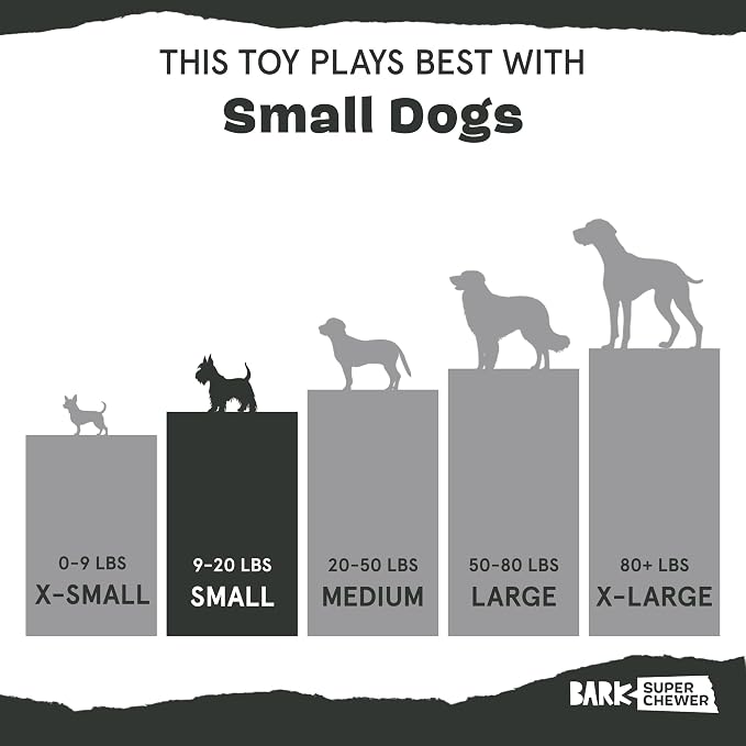 BarkBox Cherry Blasto Pop Dog Toy - for Small Dogs | Durable Nylon Popsicle Chew Toy for Aggressive Chewers | Dog Toys , Puppy Teething Toys & Summer Fun