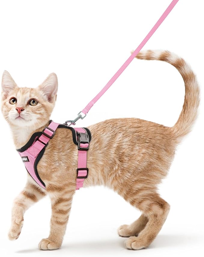 rabbitgoo Cat Harness and Leash Set, Escape Proof Vest, Pink | Soft Breathable Mesh, Easy Adjustable Fit, Snap Buckles, Sturdy Clip, Reflective Strips, for Average Cats Walks, S