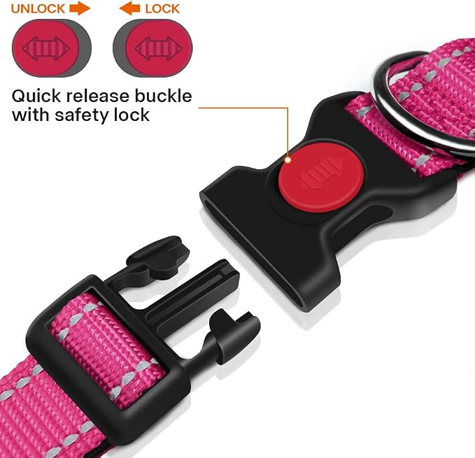 Taglory 10"-16" Dog Collar and 5 FT Dog Leash Set, Highly Reflective Threads Dog Leash, Adjustable Reflective Dog Collar with Safety Locking Buckle for Small Dogs