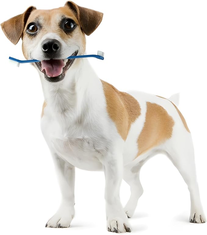 Bexter Dog Toothbrush Set of 10 – Dual Headed Soft Bristle Pet Tooth Brushes for Dental Hygiene, Teeth Cleaning for Small to Large Dogs, Cats & Most Pets, Bulk Pack