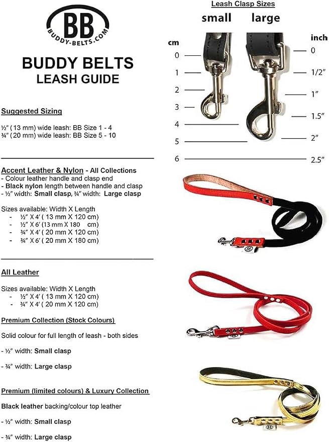 Premium Leather Dog Leash by Buddy Belts