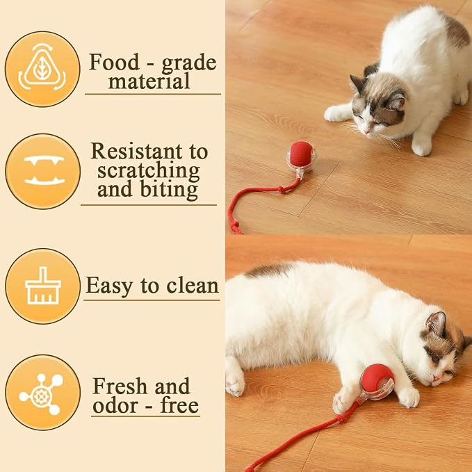 Interactive Pet Toy Ball, Automatic Dog Toy Interactive Dog Cat Toy Ball Dog & Cat Electric Active Toys, Smart Chase Pet Toy Ball for Dogs for Large Small Dogs Motion Activated，Blue
