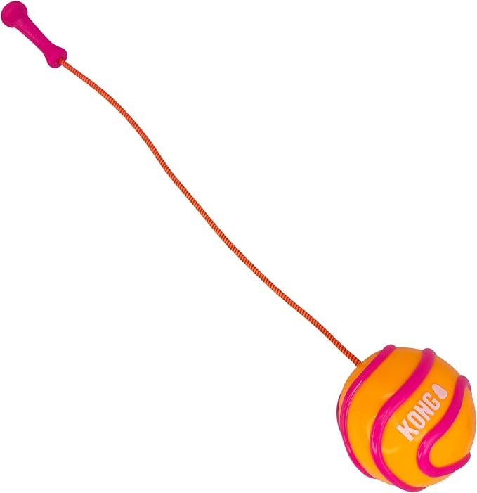 KONG Bunji High-Viz Brightly Colored Glow in The Dark High Visibility Fetch and Retrieve Durable Bouncy Ball Assorted (Large)