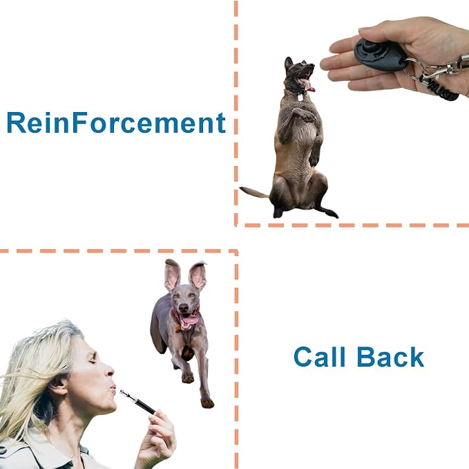 Dog Training Kit: Treat Pouch, Clicker & Whistle, Grey