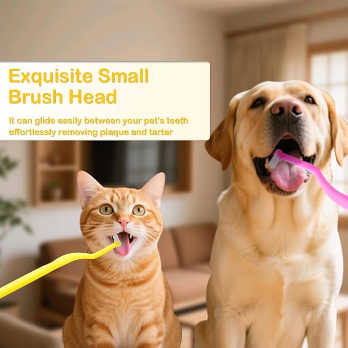 DQITJ 2 Pack Small Dog Toothbrush Mini Head Soft Tooth Brush Kit for Sensitive Gum Puppy Kitten Small Dog Cat (Red and Yellow)