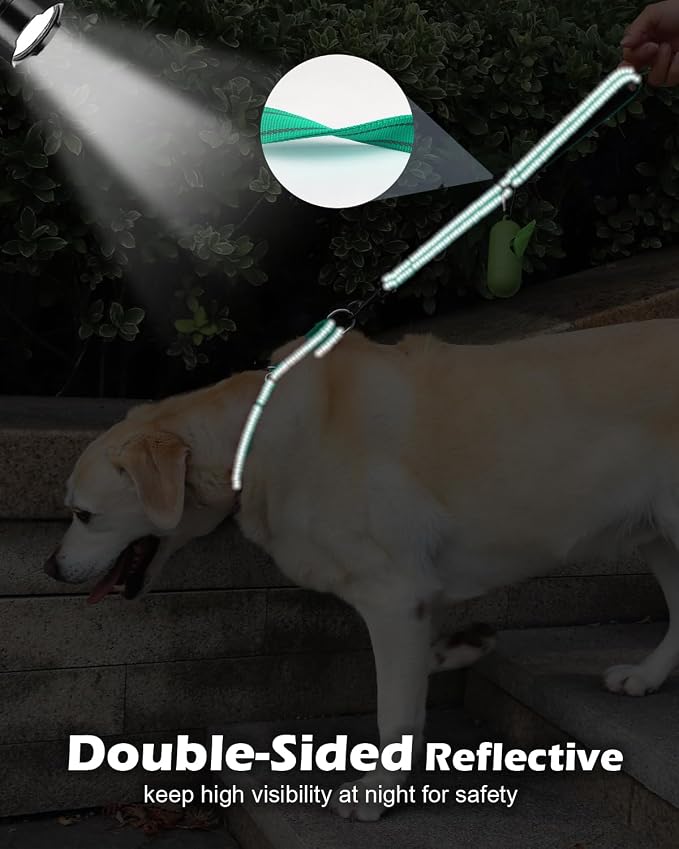 Joytale Short Dog Leash for Close Control & Training, 24", Teal | Padded Comfort Handle, Reinforced Nylon Webbing, Secure Metal Clip, for Busy Streets & Heel Training
