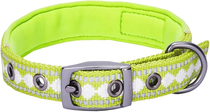 Blueberry Pet Reflective Jacquard Dog Collar with Neoprene Padding & Metal Buckle | Soft & Adjustable Safety Collar - Macaw Green, Neck 13-16.5", for Medium Breed
