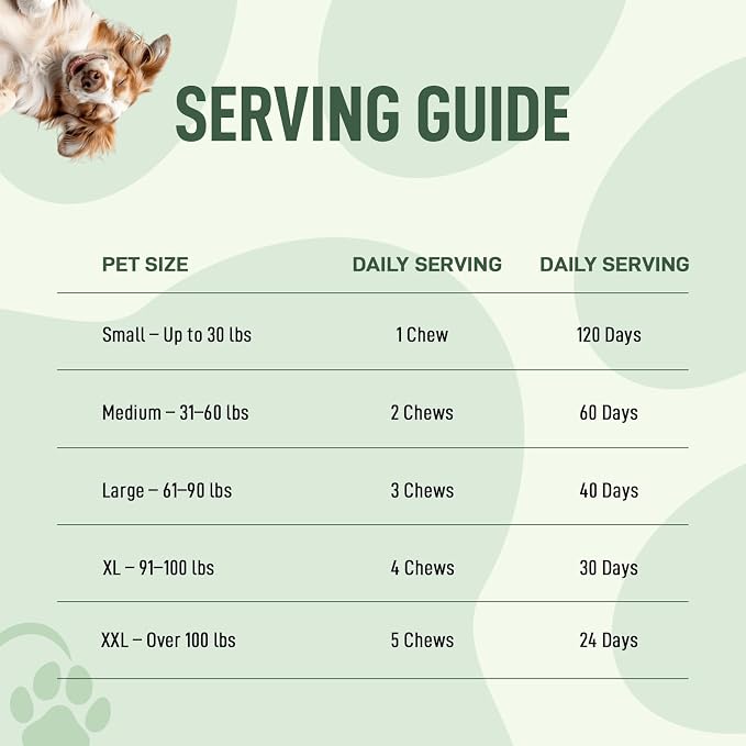 Probiotics for Dogs – 120 Soft Chews, Bacon Flavor | Digestive Enzymes, Gut Health & Immune Support with Pumpkin Seed & Ginger | for All Breeds