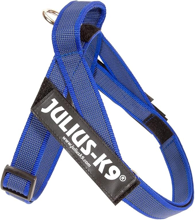 IDC Color & Gray Belt Harness, Size: XS/Mini-Mini, Blue-Gray