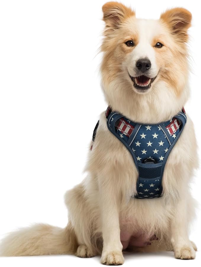 rabbitgoo Dog Harness, No Pull Medium Sized with 2 Leash Clips, Pet Vest | No Choke with Handle, Adjustable Soft Padded, Reflective, Easy Control for Walking, Blue Star, Medium