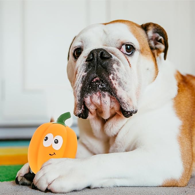 Balacoo 2 Pcs Squeaky Latex Pumpkin Dog Toys, Chew-Redirecting for Chewing | Destructive Chewing, Daily pet care