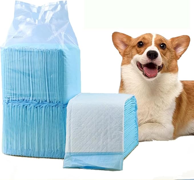 Care All-Absorb, 23.6" x 23.6", 40 Count, Dog and Puppy Training Pads, Ultra Absorbent and Odor Eliminating, Leak-Proof 5-Layer Training Pads with Quick-Dry Surface (L- 23.6 x 23.6-(40 Count))