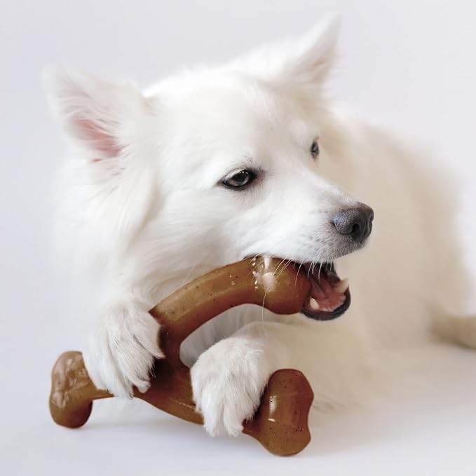 Benebone Wishbone and Fishbone Durable Dog Chew Toys for Aggressive Chewers, Made in USA